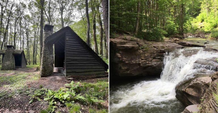 These 11 Pennsylvania Hiking Trails Are Stunning But Swarming With Ticks This August