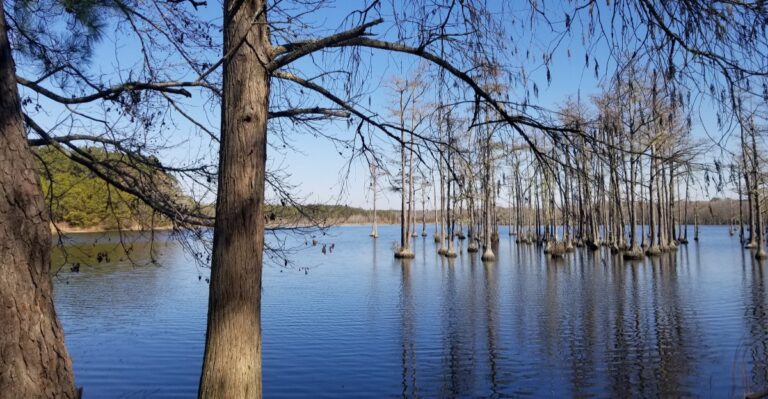 This Secret 763-Acre South Carolina State Park Feels Almost Completely Forgotten