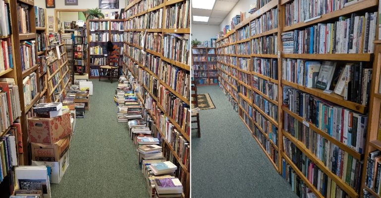 This Colorado Bookstore Holds Thousands Of Books With Cats Keeping Watch Over The Shelves