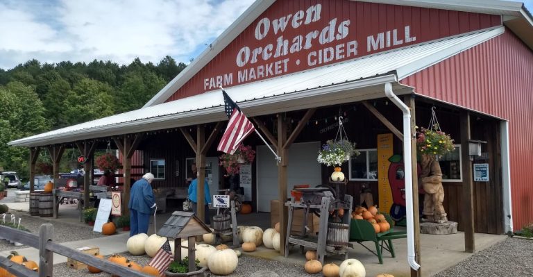 Fresh Apple Cider Donuts Are The Reason This Tiny New York Shop Is Always Busy