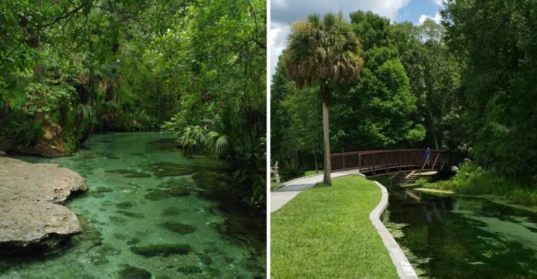 This Florida Park Lets You Float Past 17-Million-Year-Old Fossils