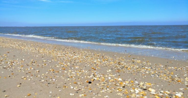 This Delaware Beach Town Is Home To One Of The Strangest Natural Spectacles On The East Coast