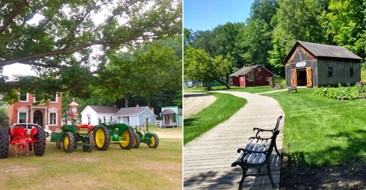 Fall Harvest Festival & Tractor Show