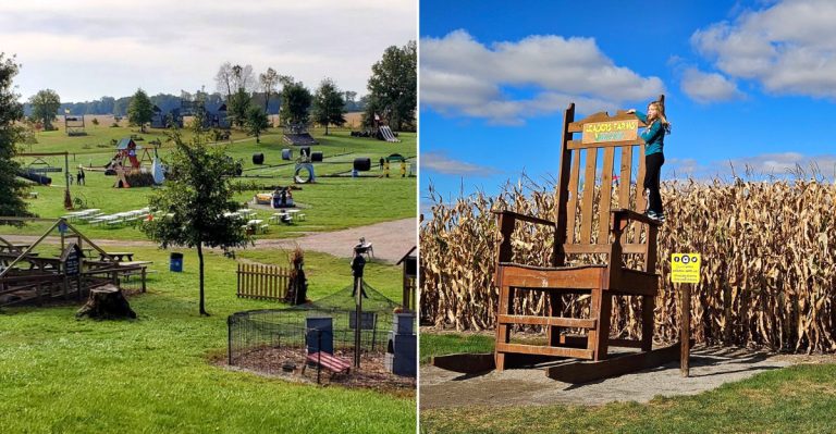 13 Ohio Corn Maze And Farm Adventures Worth Trying In September