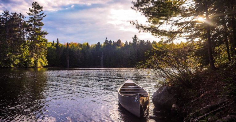 This Peaceful New Hampshire Park Is A Favorite Place To Look For Wild Moose