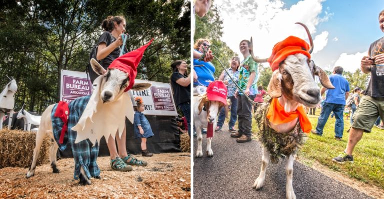 This Small Arkansas Town Hosts One Of The Strangest Festivals Of Fall