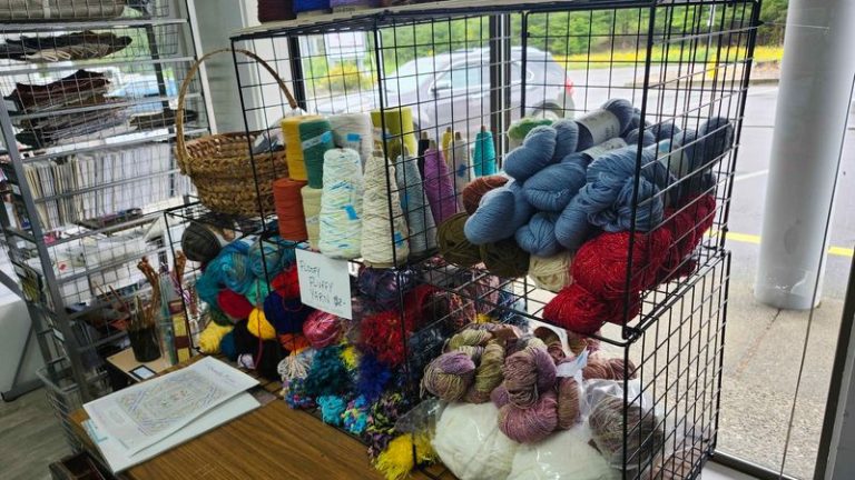 Crafters Score Cheap Paint, Knitting Supplies And Curious Odds-And-Ends At This Washington Secondhand Art Shop