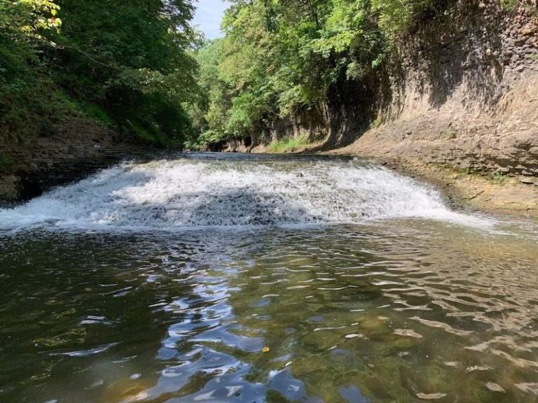 This Illinois State Park Hides A Fern-Lined Gorge You Can Hike Down Into By The River