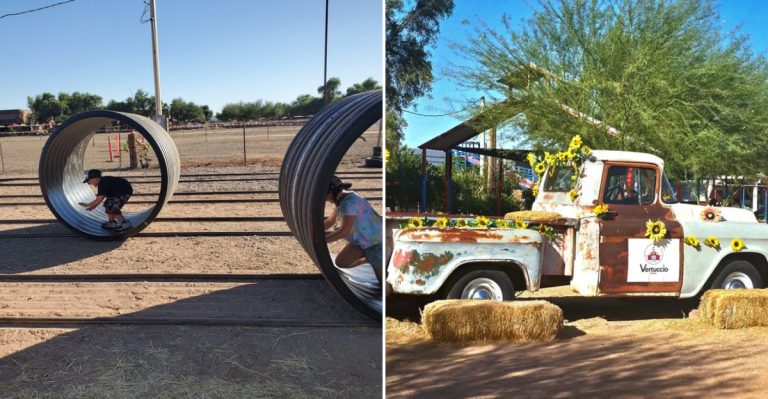 Pick Peaches And Find Seasonal Farm Fun At This Beloved Arizona Spot Near Queen Creek