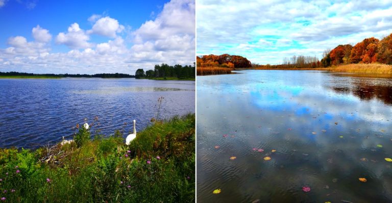Michigan Trails Rich With Wildlife