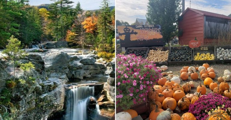 9 Maine Fall Day Trips That Won’t Cost You More Than $30