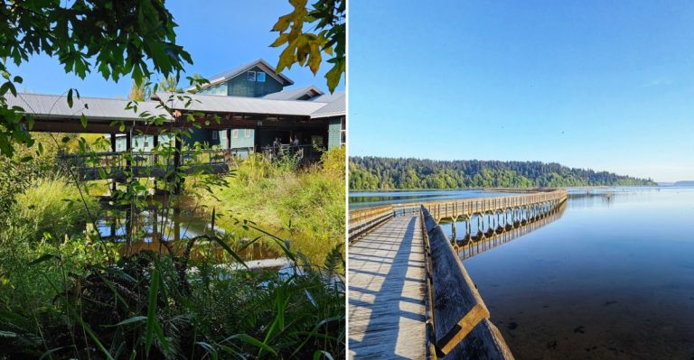 Take A Stroll Down The Wildlife-Filled Boardwalk Trail At Washington’s Coolest Visitor Center