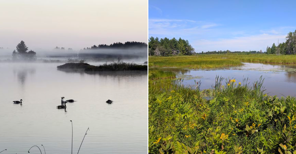 Seney National Wildlife Refuge’s
