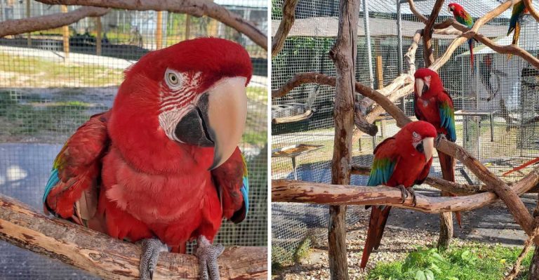 This Central Florida Bird Sanctuary Lets Hundreds Of Colorful Birds Eat From Your Hand