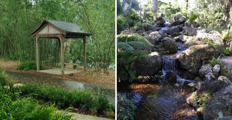 This Quiet Florida Arboretum In Broward Feels Like A Secret Escape
