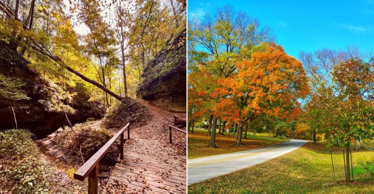 13 Iowa State Parks Worth Visiting When The Leaves Start Changing