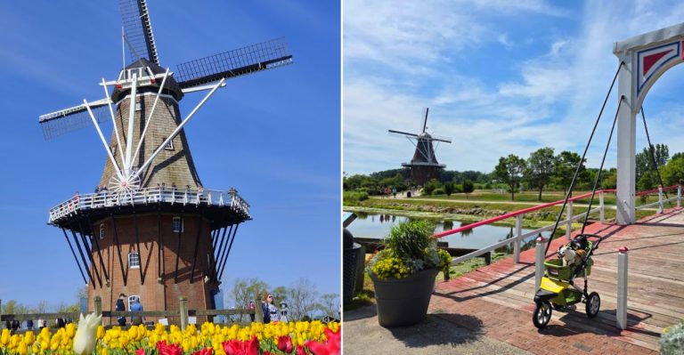 De Zwaan Windmill
