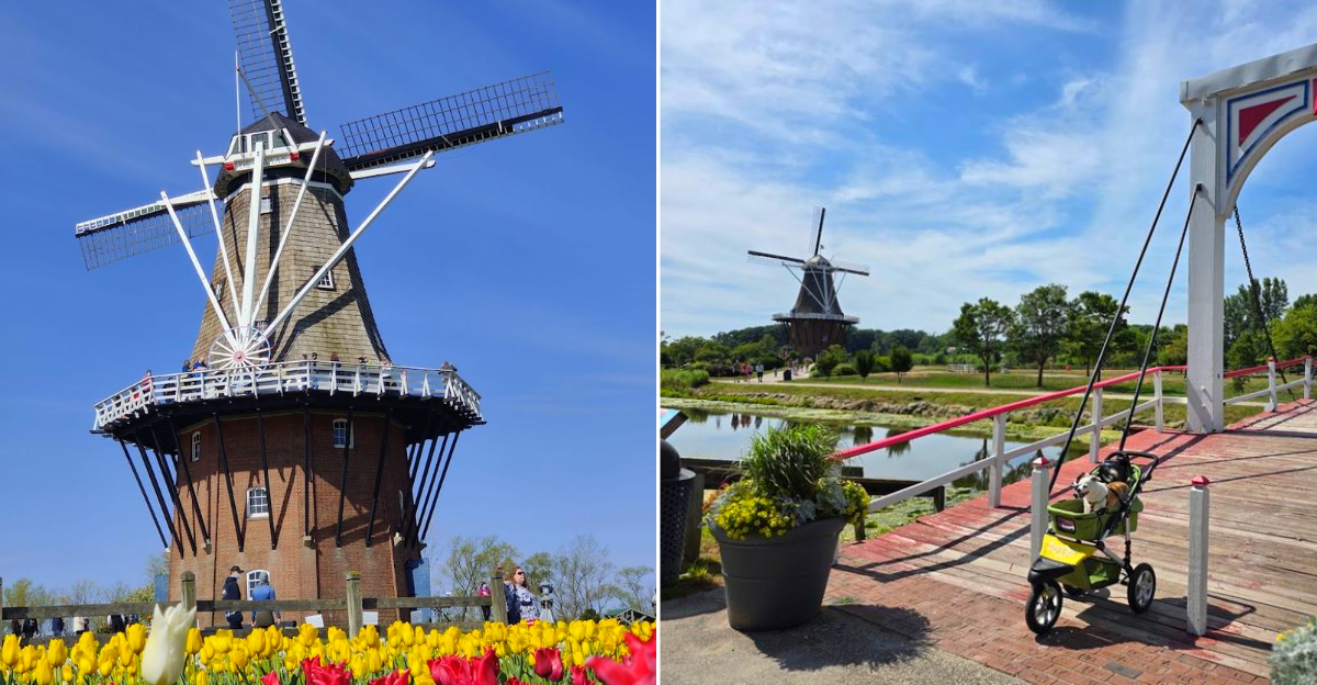 De Zwaan Windmill