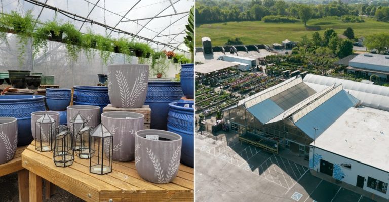 10 Tennessee Pottery Warehouses With Oversized Garden Decor That Looks Expensive But Isn’t