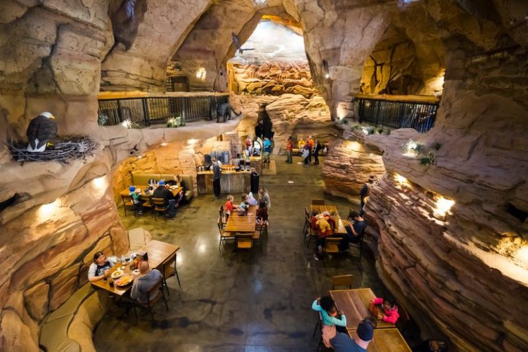 8 Offbeat Arizona Restaurants Where Every Meal Turns Into An Adventure
