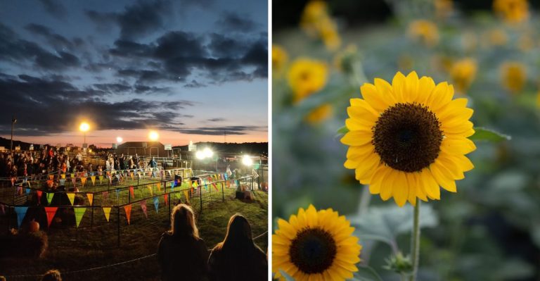 This Arkansas Farm Turns Into A Storybook Fall Wonderland Every September