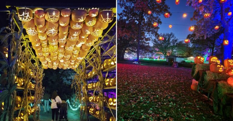 This Illinois Park Turns Into A Spooky Halloween Wonderland Of Lights, And Families Drive Hours Just To See It