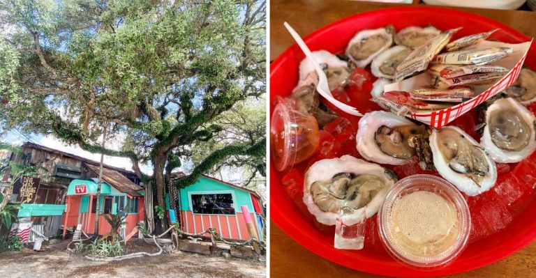 This Tiny Cash-Only Florida Fish Camp Serves Fried Shrimp Baskets Worth The Entire Drive