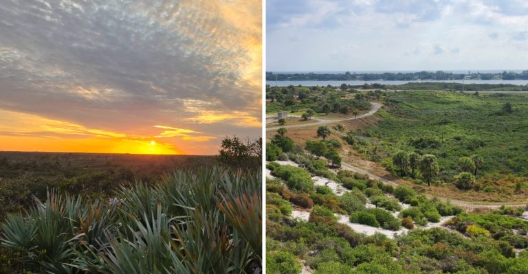This Florida Mountain Overlook Has A Secret Snake Problem