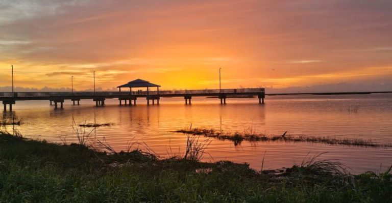 This Florida Lake Shore Is Getting Too Snake-Infested For Its Own Good
