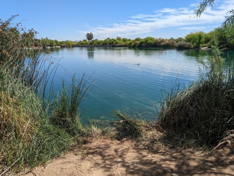 This Flat, Easy Trail Around Bird-Filled Arizona Ponds Is The Calmest Walk In The State