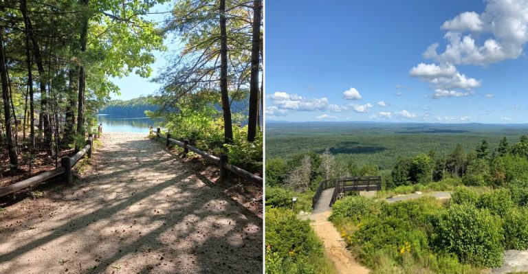 10 Maine Regions Reporting The Most Tick Activity This Summer
