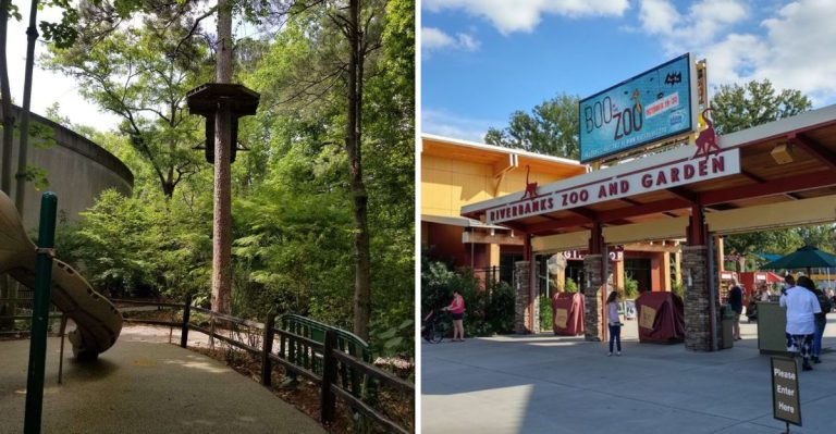 One Of America’s Largest Zoos Is Right In South Carolina And It Is Absolutely Magical