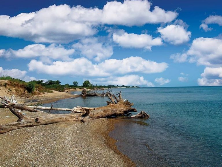 This Illinois Beach Town On Lake Michigan Is Getting A Little Too Popular