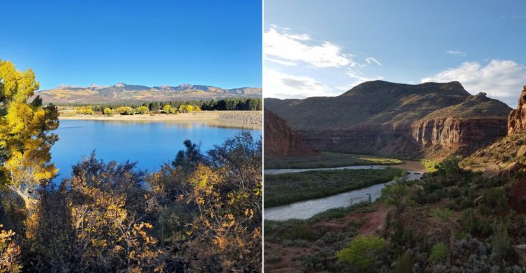 These 13 Dog-Friendly Trails In Colorado Are Perfect For A Weekend Adventure