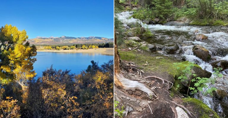 Colorado’s Tick Map Reveals The Counties Around These 12 Wooded Getaways