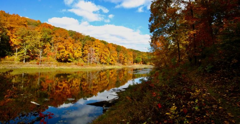 This Ohio State Park Offers Fall Wagon Rides Through A Sea Of Autumn Color