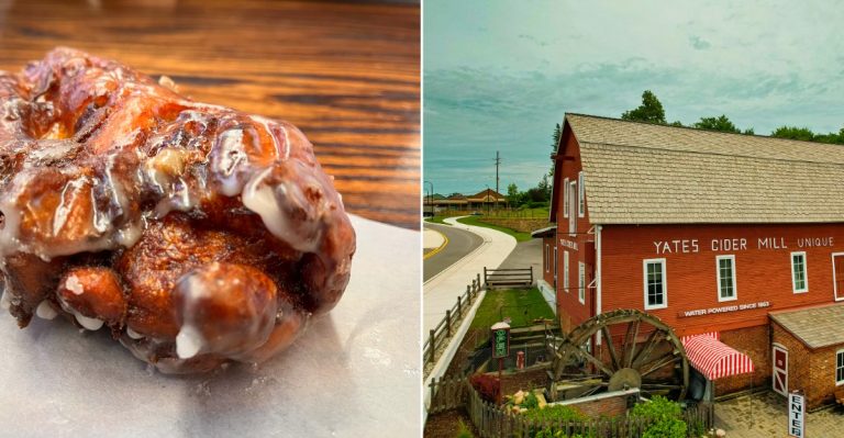 Michigan Apple Fritter Stops