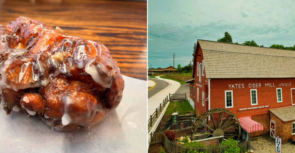 Michigan Apple Fritter Stops