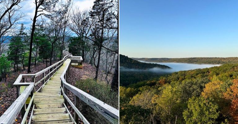 Copperheads Call This Massive Ohio Preserve Home So Watch Where You Step