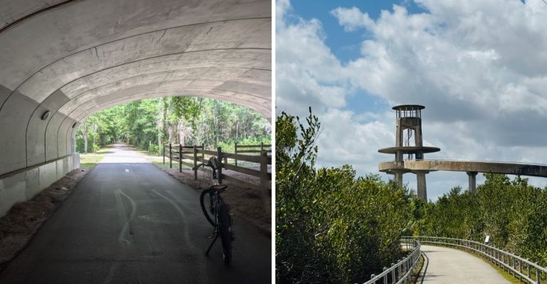 These 10 Scenic Florida Bike Trails Are Perfect For Beginner Cyclists