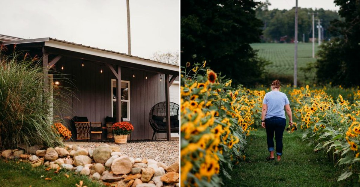 Northfarthing Farms & Getaways