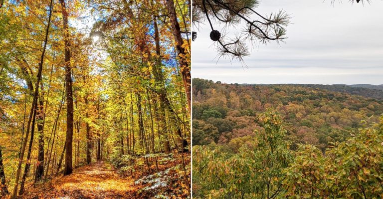 This Secret Ohio Nature Preserve Hides Acres Of Forest Trails With Seriously Stunning Views