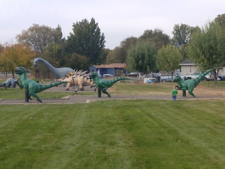 Most People In Washington Have No Idea This Dinosaur Playground Is Tucked Into The Woods