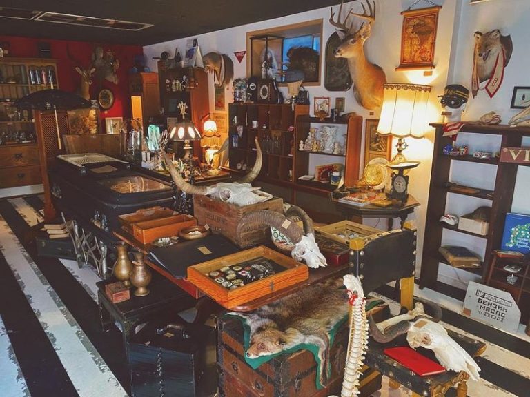 This Washington Shop Is A Treasure Hunt Full Of Beautifully Weird Curiosities You’ll Lose An Hour In