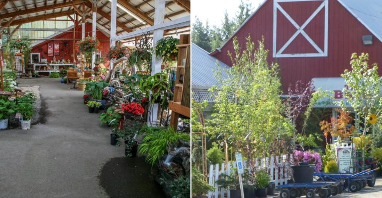 This Washington Garden Center Hides Gifts And Local Art Inside A Barn