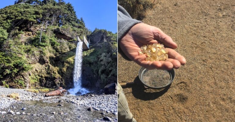 Oregon’s 10 Incredible Places To Hunt For Natural Treasures