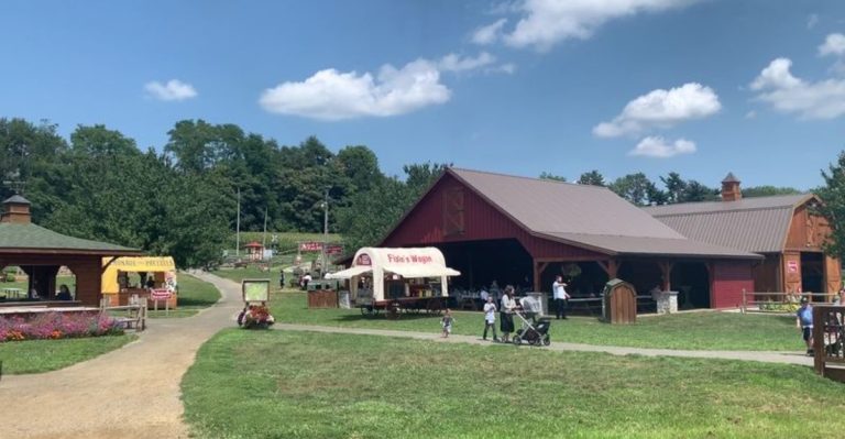 This Pennsylvania Corn Maze Packs Nearly 2.5 Miles Of Twisting Paths Into Five Acres