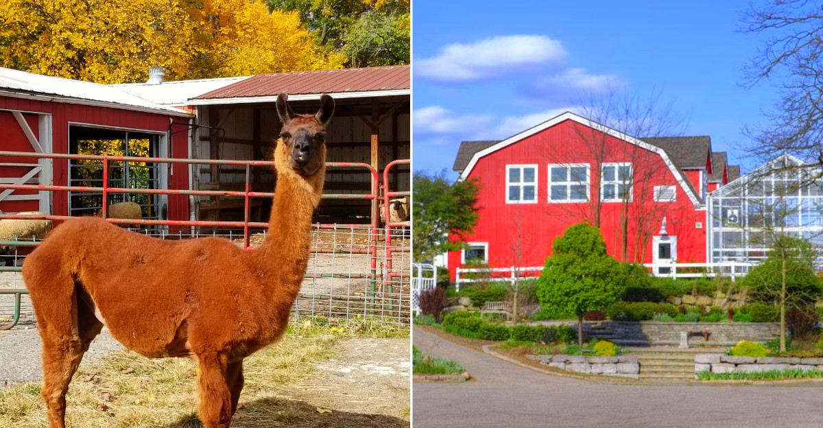 Bowers Farm