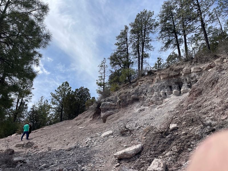 You Dig Ancient Sea Fossils Out Of The Rock With Your Own Hands At This Arizona Roadside Stop