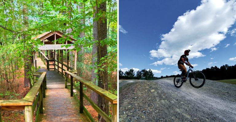 One Of Arkansas’s Most Unique Free Parks Feels Like A Giant Treehouse Adventure
